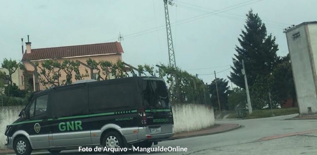 Mangualde – 8 detidos por posse de armas ilegais